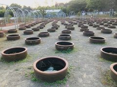 -杭州植物园