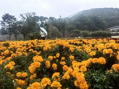 -广州市石门国家森林公园