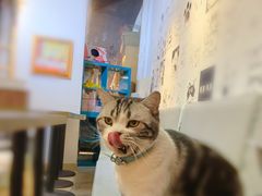 -小时光咖啡馆(开森度假森林店)