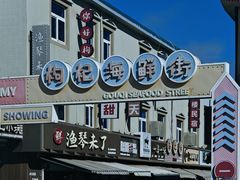 -枸杞岛