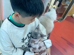 -和它·交个朋友·狗咖猫咖(爱琴海店)