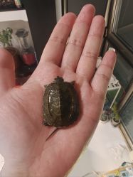 -钓虾工场·钓虾·赶海(回龙观店)