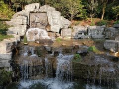 -深圳仙湖植物园