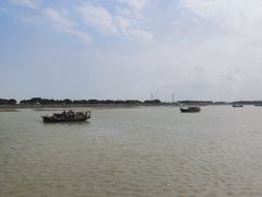 -大湾区中央湿地公园