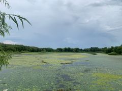 -蒲河岛湿地公园