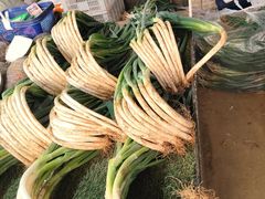 -大观篆新农贸市场