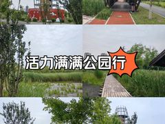 -永定河休闲森林公园