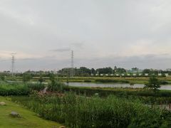 -那考河湿地公园