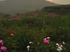 -许家山