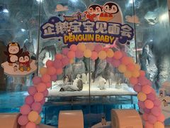 -帝企鹅自助餐厅•儿童岛•真企鹅(长隆企鹅酒店)