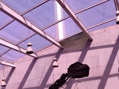 -陕西自然博物馆