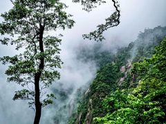 -三清山风景名胜区