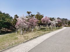 -浮山香苑