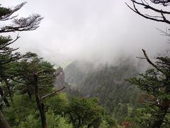 -神农架景区