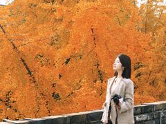 -南京城墙景区