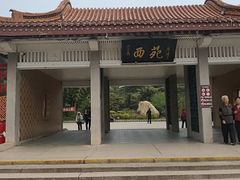 -西苑公园