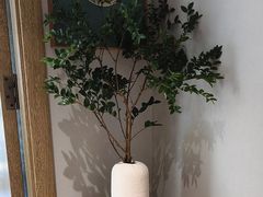 -松月茶楼