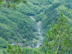 -四明山国家森林公园