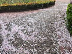-洋湖国家湿地公园
