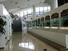 -上海长江河口科技馆