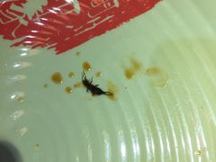 -杨翔豆皮涮牛肚(万和城店)
