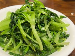清炒鸡毛菜-老瑞福上海菜(人民广场店)