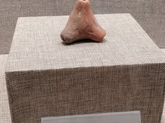 -南越王博物院(王宫展区)