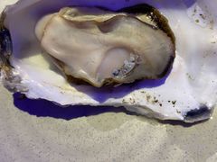 深海黄金蚝大个火锅-千岛蚝高压锅生蚝·人参火锅(白云万达店)