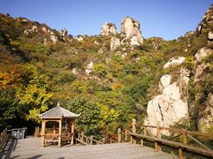 -大岭沟猕猴桃谷风景区