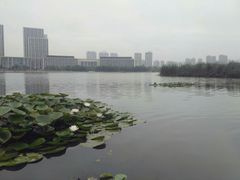 -尚贤河湿地