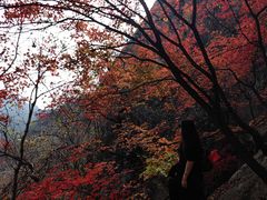 -丹东凤凰山景区