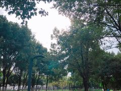 -后襄河公园