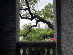 -江心屿景区