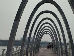 -大兴滨河森林公园