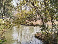 -合肥滨湖国家森林公园