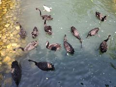 -长白岛森林公园