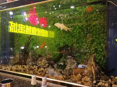 -牛上牛吊炉烧烤(红旗大街店)