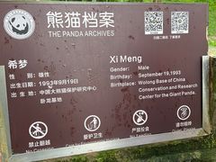 -都江堰中华大熊猫苑