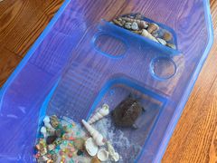 -秦美花卉(天朗·莱茵小城2期店)