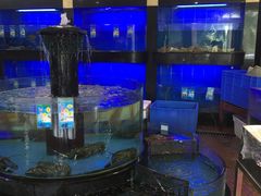 水产区-东湖国际大酒店叠石酒楼