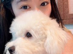 -后现代城