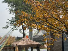 -阳台山自然风景区