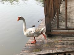 -河北村民俗体验园