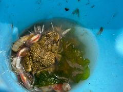 -东戴河风景区-止锚湾