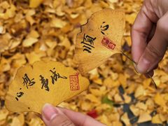 -古大圣慈寺