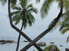 -三亚凤凰水城凯莱度假酒店