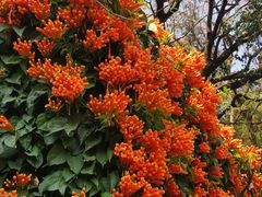 -桃花涧