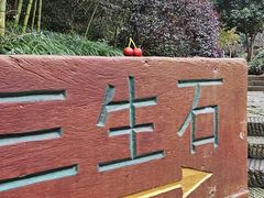 -杭州西湖风景名胜区-三生石