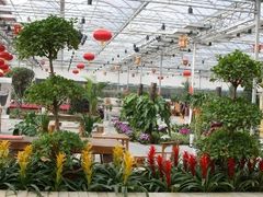 黄花梨-龙凤山庄(永定镇店)