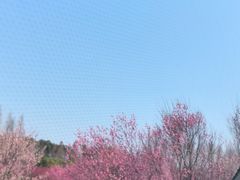 -南湖湿地公园